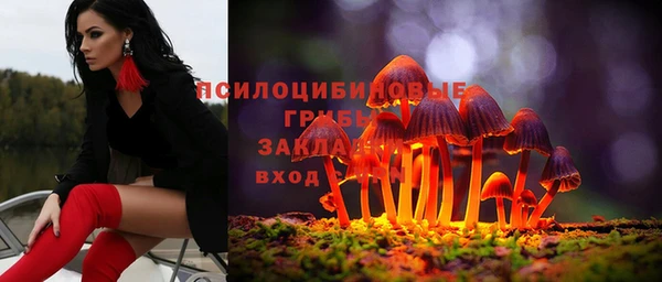 дмт Алапаевск