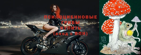 индика Навашино