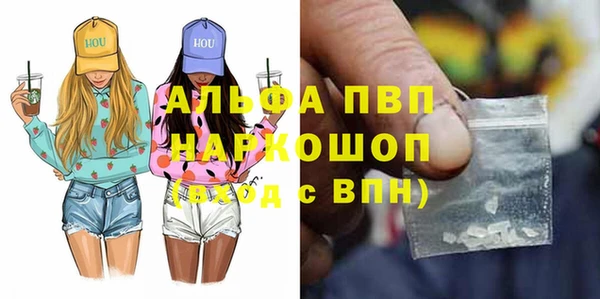 СК Надым