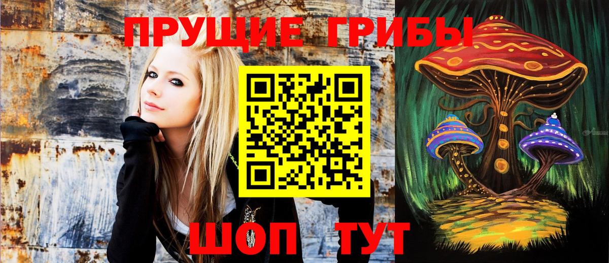 Псилоцибиновые грибы Magic Shrooms  Галлюциногенные грибы Psilocybine cubensis  Архангельск 