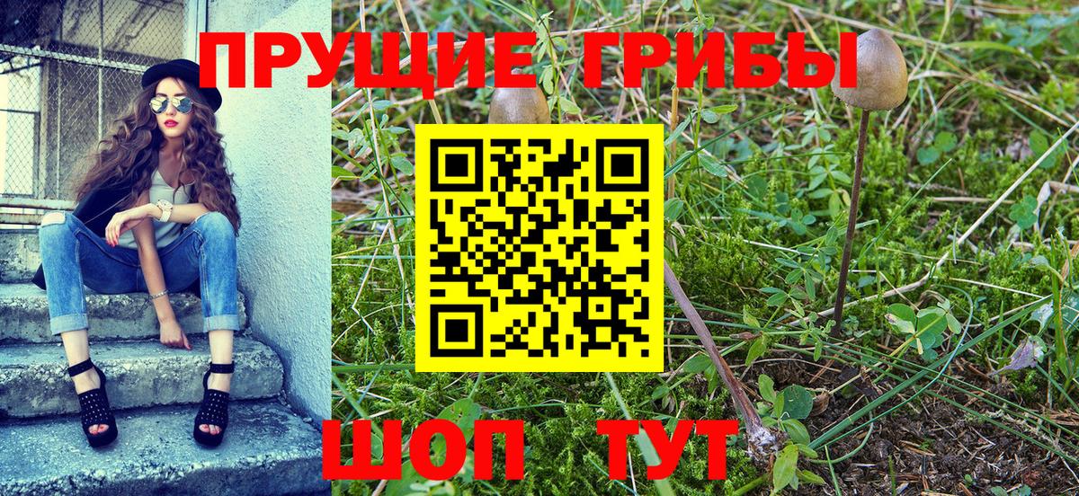 Псилоцибиновые грибы MAGIC MUSHROOMS Архангельск